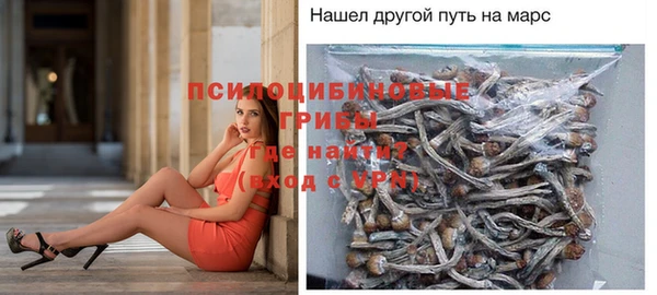 мет Абаза