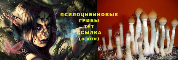 хмурый Абдулино