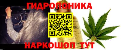 дмт Мариинск